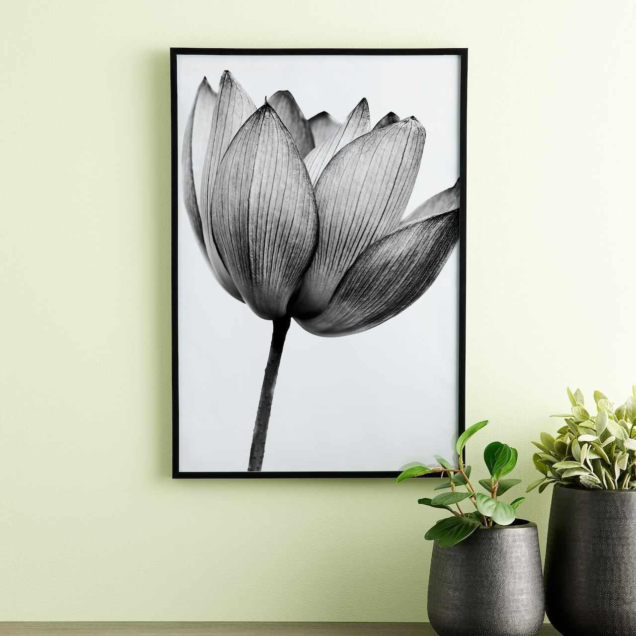 Basics Black Multipurpose Frame by Studio Décor®